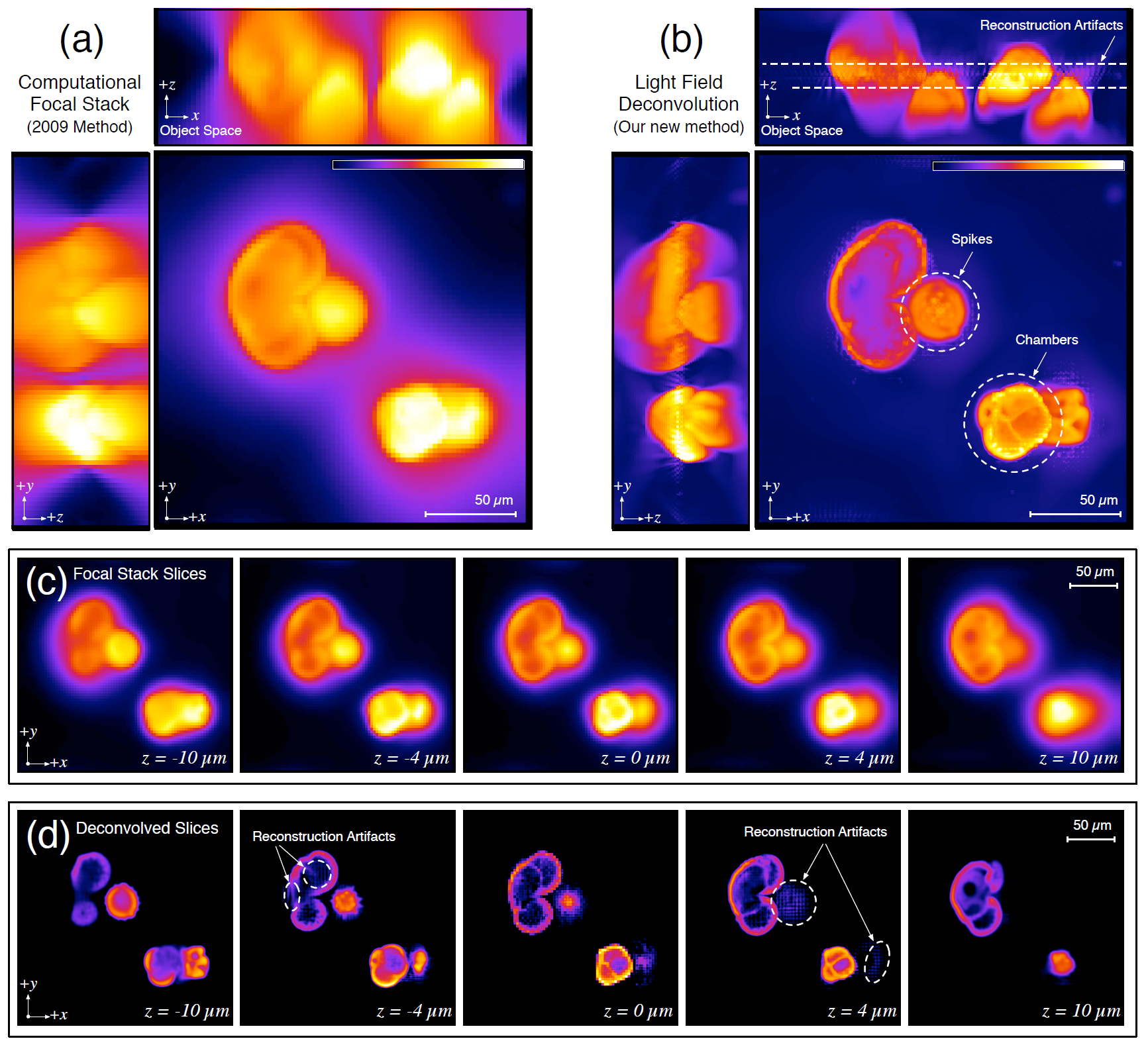 Comparison of 3D LFM reconstruction under geometric-optics and wave-optics models