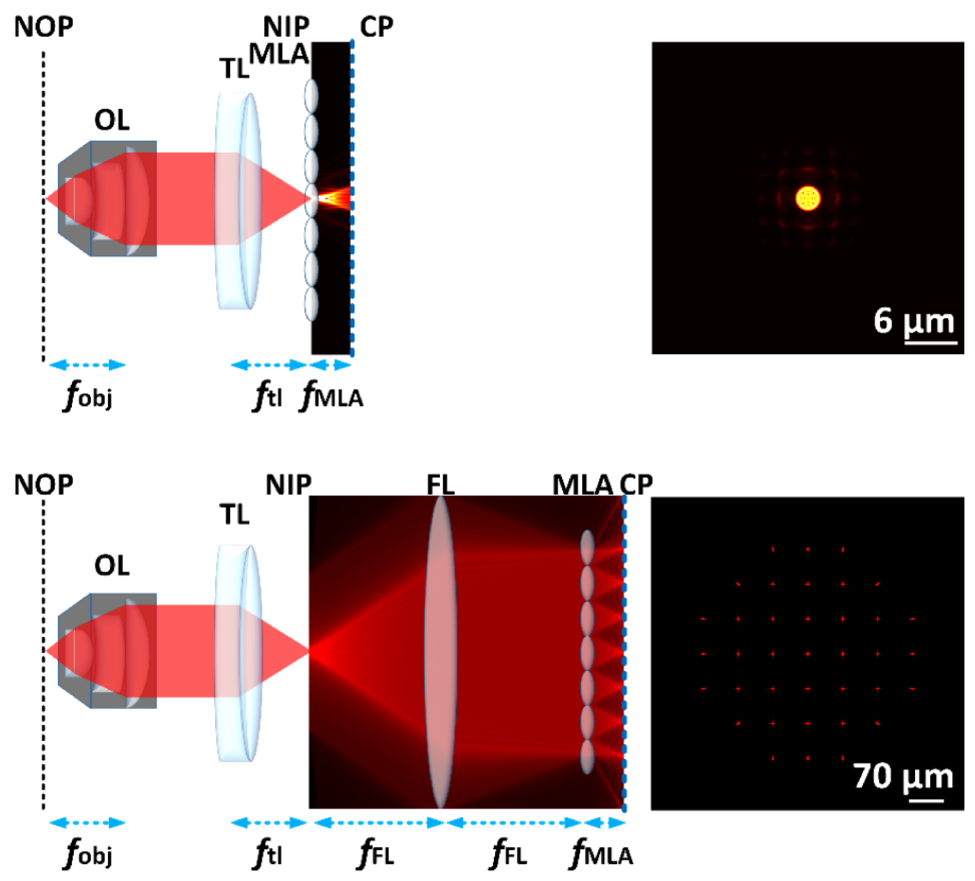 Comparison of LFM and FLFM imaging system architectures and sampling strategies